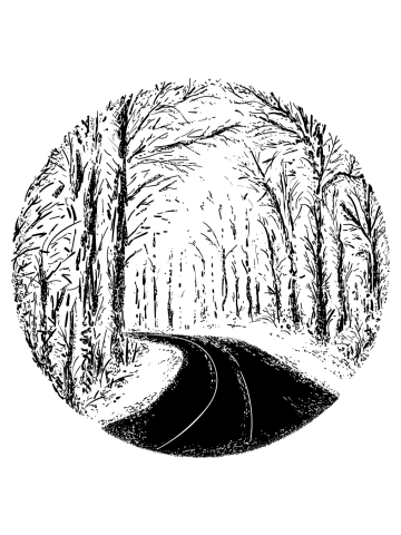 Road forest