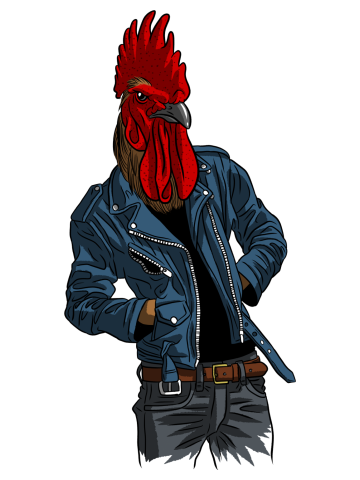 Rooster crest punk
