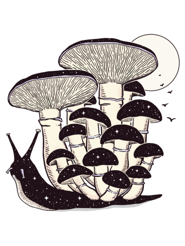 SHROOM SNAIL (Color Variant)