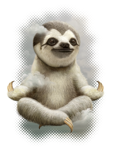 SLOTH MEDIDATING