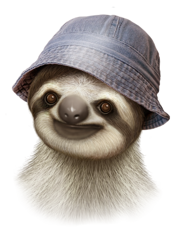 SLOTH WEARS DENIM HAT