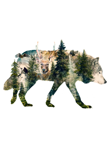 SPIRITS OF THE ANIMAL KINGDOM 