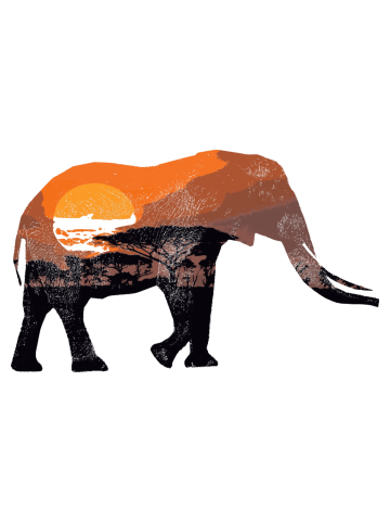 Safari Elephant