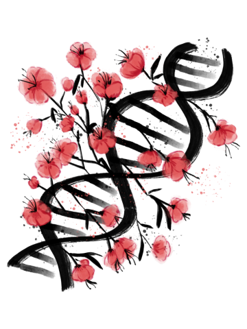 Sakura Sumie DNA 