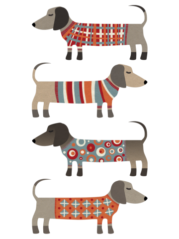 Sausage Dogs in Sweaters