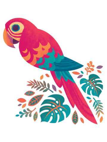 Scarlet Macaw