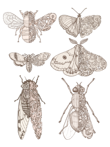 Sci-fly collection