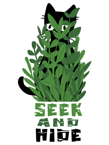 Seek and Hide Cat