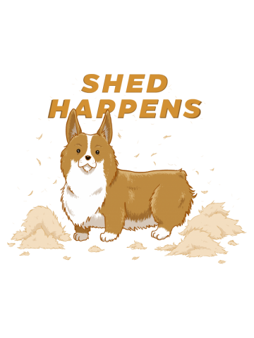 Shed Happens