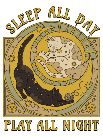 Sleep All Day, Play All Night