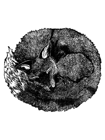 Sleeping Fox Block Print