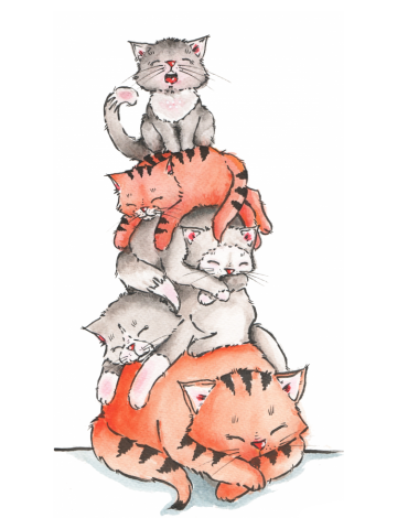 Sleeping cats
