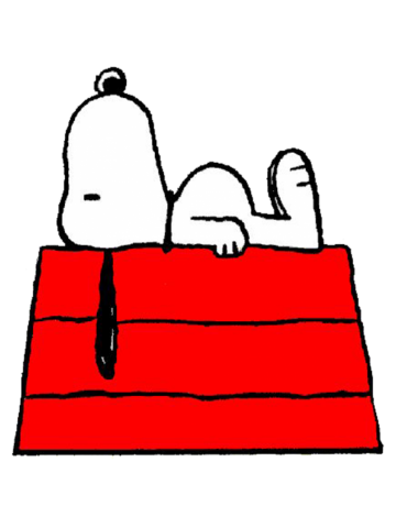Sleeping snoopy huft