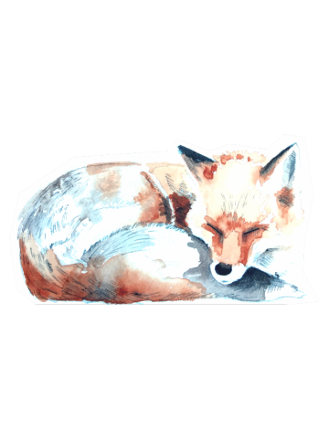 Sleepy Foxy