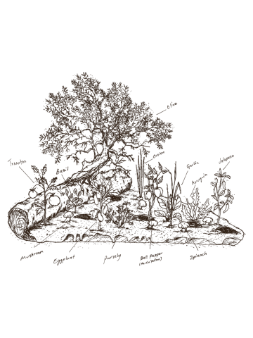 Slice of Forest
