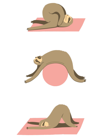 Sloth Pilates