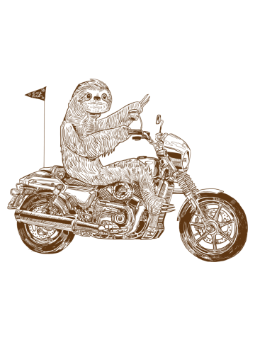 Sloth Rider