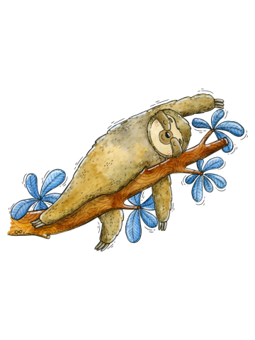 Sloth Yoga