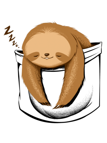 Sloth in a Pocket
