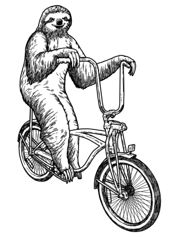 Sloth on Bike