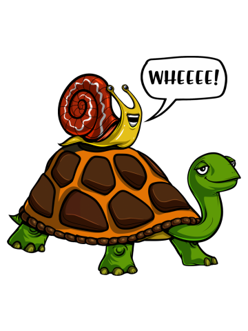 Snail Riding Turtle