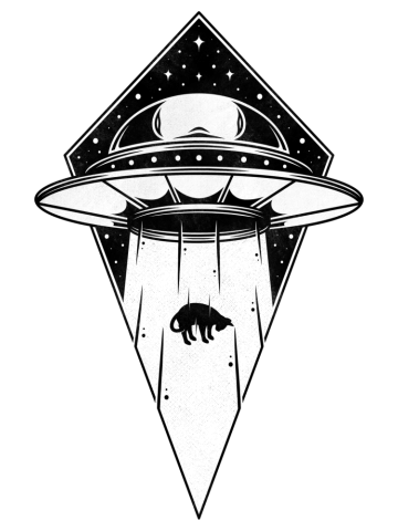Space Cat Abduction Adventures