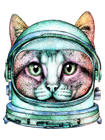 Space Cat Astronaut