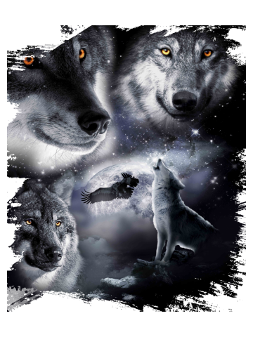 Space Wolves 3 Three Snow Wolf Howling At Moon