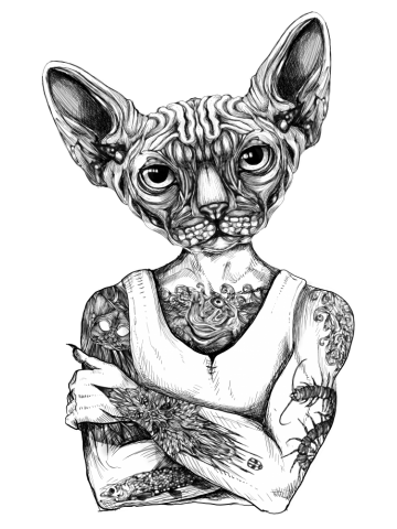 Sphynx