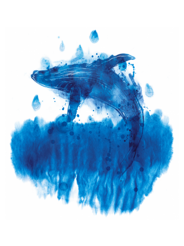 Splash!