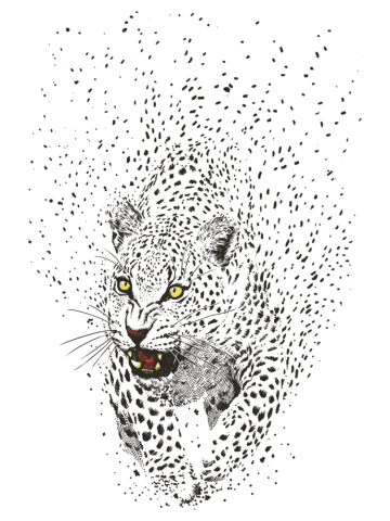 Spots