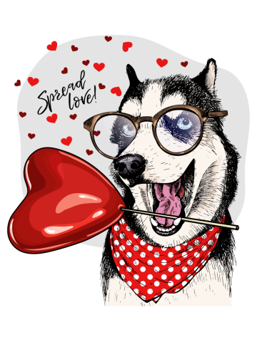 Spreading Love Husky