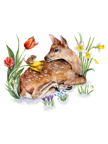 Spring Deer with a Harvest Mouse