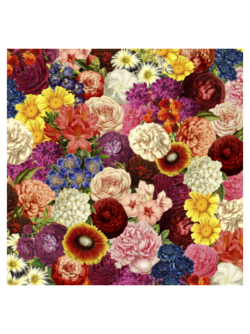Spring Explosion