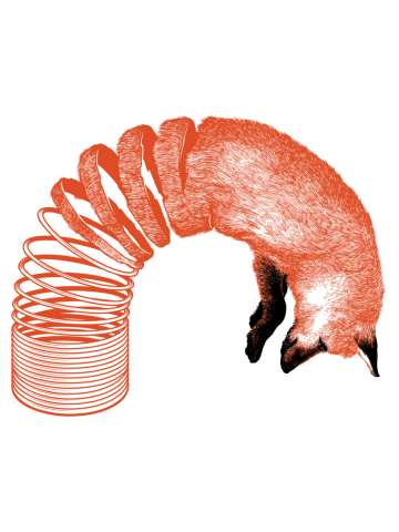 Spring Fox