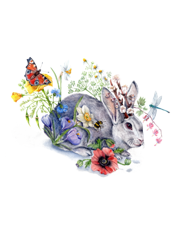 Spring Jackalope