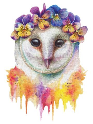 Spring Owl
