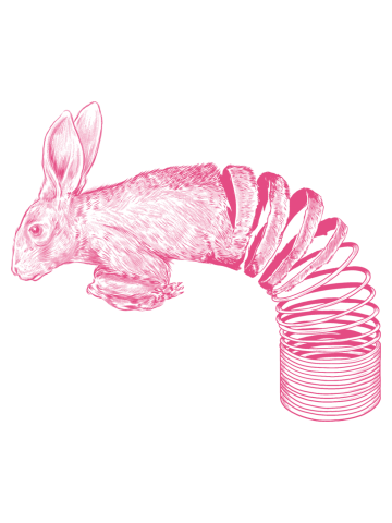Spring Rabbit