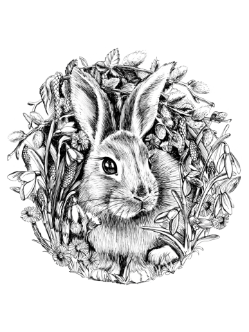 Spring rabbit