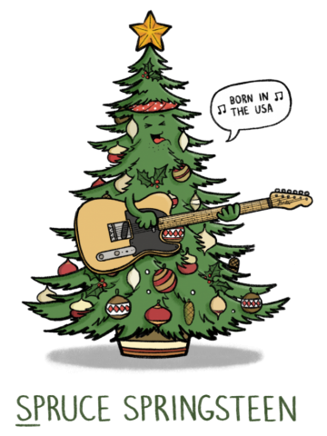 Spruce Springsteen