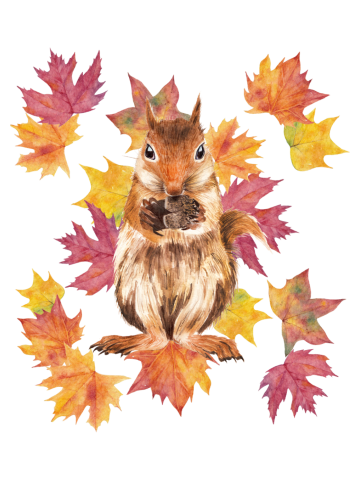 Squirrel with leaves