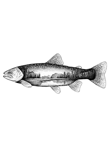 Starry Trout