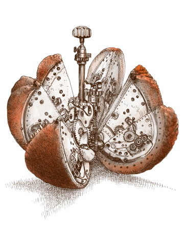 Steampunk Orange