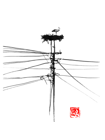 Storke nest