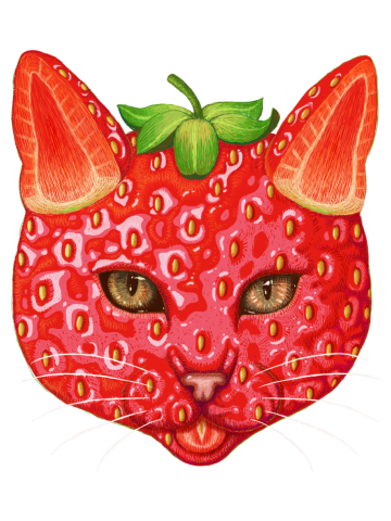 Strawberry cat
