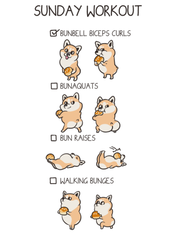 Sunday Workout with Corgi