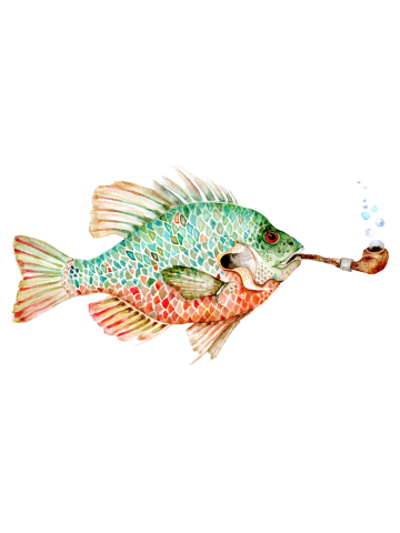 Sunfish puffing pipe