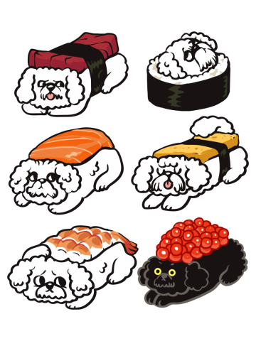 Sushi Bichon Frise