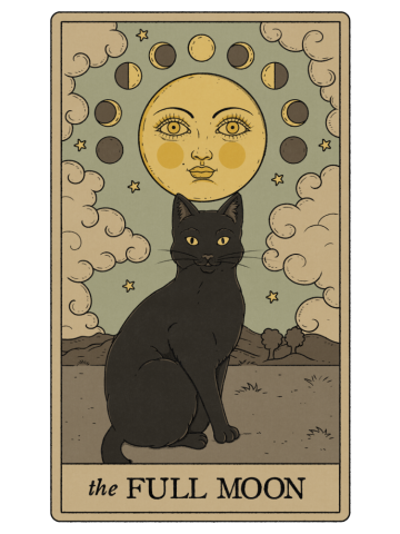 The Full Moon Cat