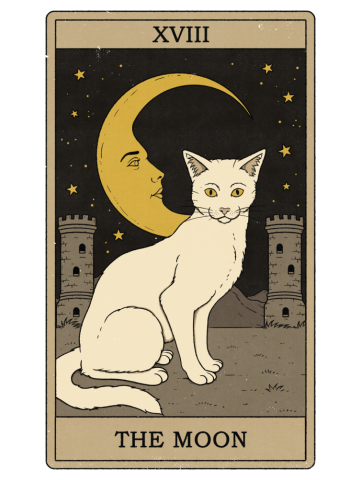 The Moon - Cats Tarot